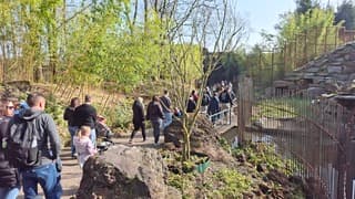 Drukte vanwege mooie weer