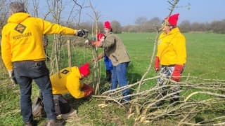 Nk maasheggenvlechten