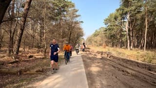 Genieten in het bos