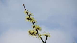 Beetje blauw aan de hemel