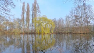 Mooi blauw en weinig wind