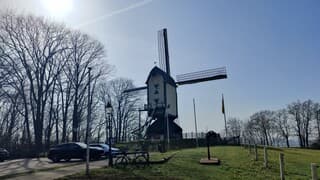 Prins Bernhardmolen in de zon.
