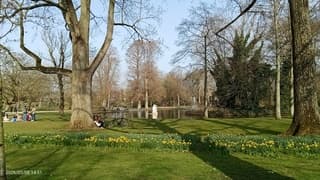 Lente in Westerpark 