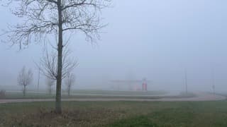 Dichte mist in Goedereede