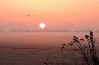 Mist over de weilanden