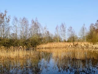 Het is genieten vandaag