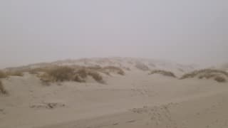 Mistig strandweer op Texel 