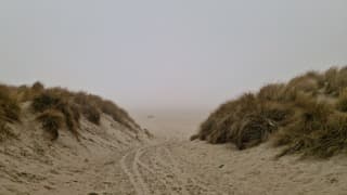 Op naar het strand op Texel!