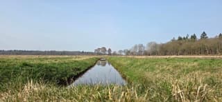 Melkachtige blauwe lucht boven de provincie Drenthe 