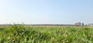 Melkachtige blauwe lucht boven de provincie Drenthe 