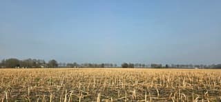Melkachtige blauwe lucht boven de Drentse landerijen 