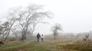 Wandelen in de duinen