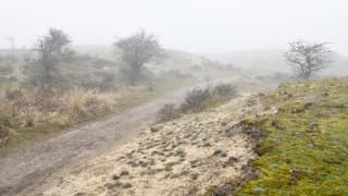 Mist in de duinen