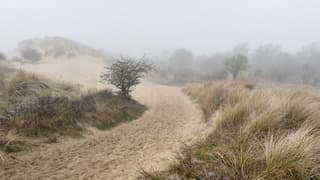 Mist in de duienen
