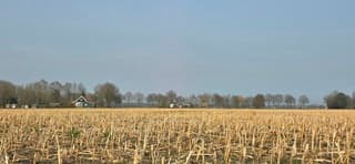Melkachtige blauwe lucht boven de Drentse landerijen 