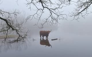 Mistig tot begin vd middag in Bergen
