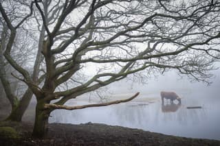 Mistig tot begin vd middag 