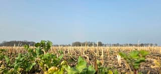 Melkachtige blauwe lucht boven de Drentse landerijen 