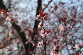 mooi lenteweer vandaag 