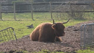 Lekker in het zonnetje 