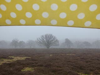 Even wennen... De paraplu is weer nodig.