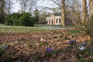 Oude dokters woning