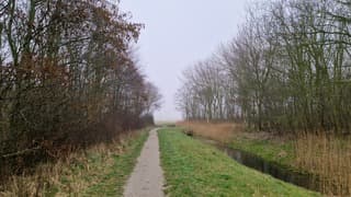 Grijze middagwandeling op Texel 