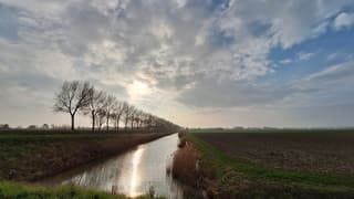 Namiddagzon met toenemende bewolking