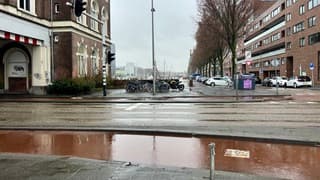 grijze natte boel vanochtend 