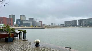 Nat, miezerig en grijs bewolkt aan de Rijnhaven 