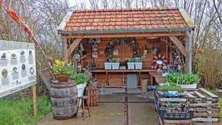 Tulpenstalletjes weer open