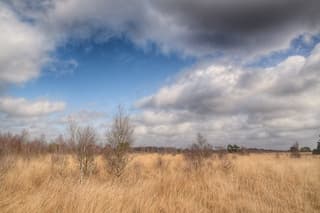Nationaal Park de grote peel