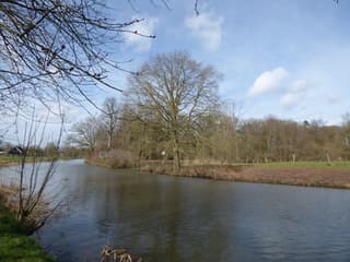 Nog prima weer vanmorgen bij landgoed Amelisweerd. Utrecht.