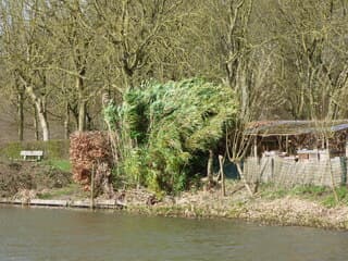 Nog prima weer vanmorgen bij landgoed Amelisweerd. Utrecht.