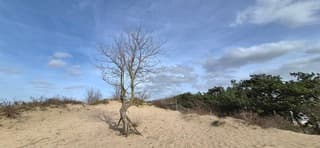 In de middag weer zonnig 