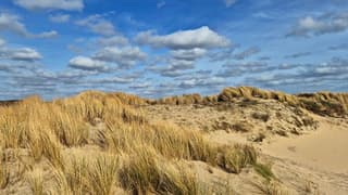 Veel wind in de duinen achter de zeereep