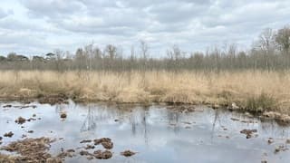 de Groote Peel onder de bewolking