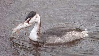 Zelfs met dit weer wordt er gewoon een visje gevangen