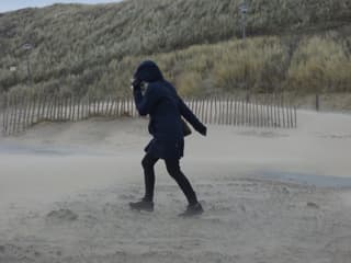 Uitwaaien op het strand vanmorgen?