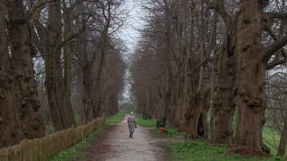 Het regent maar de hond moet eruit.