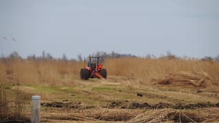 RIETLAND MAAIEN
