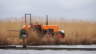 RIETLAND MAAIEN
