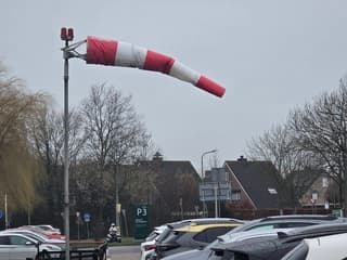 vandaag nog een stevige wind