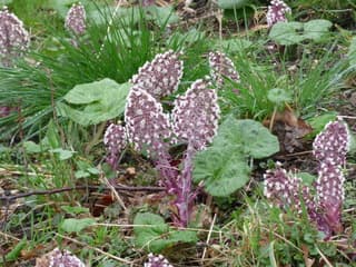 De lente is echt begonnen.