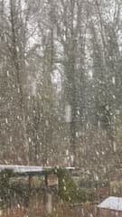 Sneeuw Voerendaal 14-04 / 09:00 uur