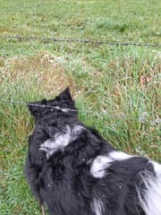 Wandelen in een sneeuwbuien 14 maart 2026