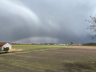 Een blik op de prachtige polder van Hillegom
