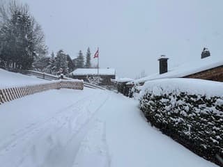 Forse sneeuwval in de bergen