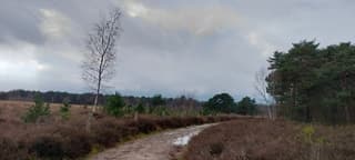 Net voor 16.00 onweer 