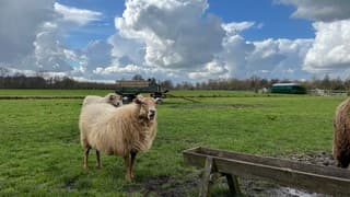 Mooie wolkenluchten vanmiddag 